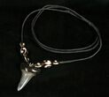 Polished Fossil Mako Tooth Necklace #4228-1